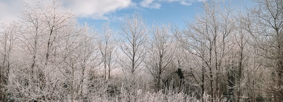Chanél Kanuthsen Photography Cover Image